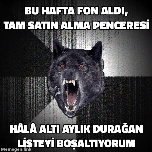 Insanity Wolf memi: bu hafta fon aldı, tam satın alma penceresi, hâlâ altı aylık durağan listeyi boşaltıyorum