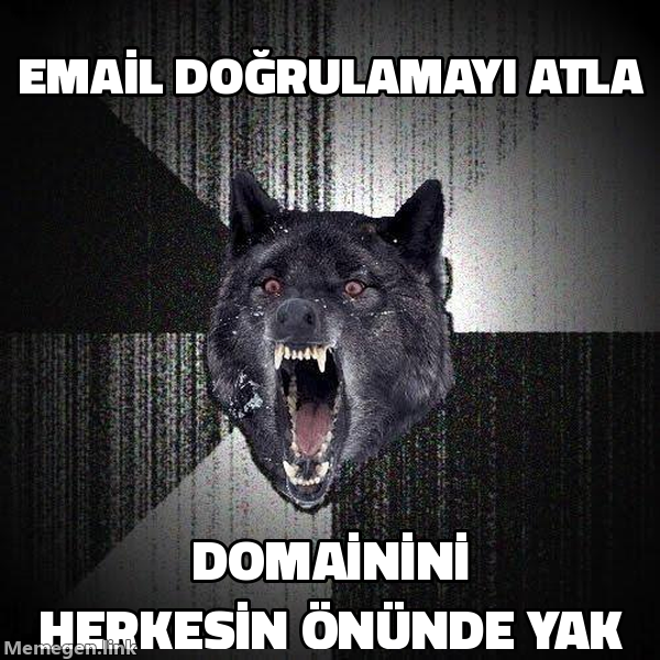 Insanity Wolf meme: email doğrulamayı atla, domainini herkesin önünde yak