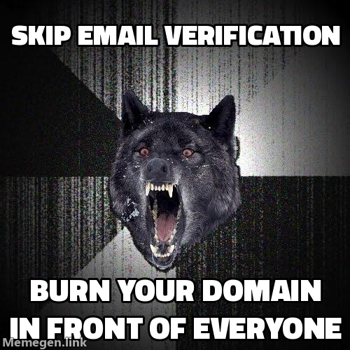 Insanity Wolf: skip email verification, burn your domain in front of everyone