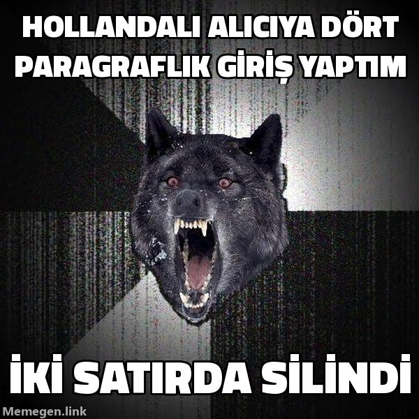 Insanity Wolf memi: Hollandalı alıcıya dört paragraflık giriş yapıp iki satırda silinmek