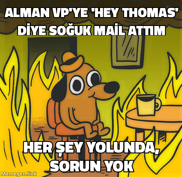 This Is Fine köpek memi: Alman VP'ye soğuk e-postayı 'Hey Thomas' diye bastım