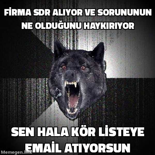 Insanity Wolf memi: firma SDR alıyor ve sorununun ne olduğunu haykırıyor, sen hala kör listeye email atıyorsun