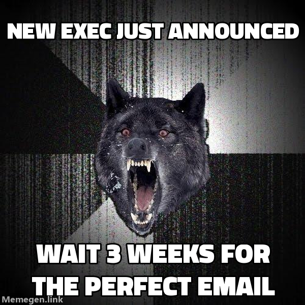 Insanity Wolf meme: New exec just announced. Wait 3 weeks for the perfect email.