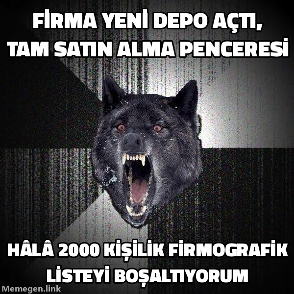 Insanity Wolf memi: Firma yeni depo açtı, hâlâ 2000 kişilik firmografik listeye e-posta at