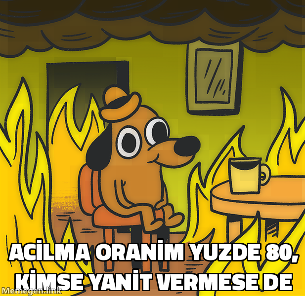This is Fine meme: Açılma oranım yüzde 80 ama kimse yanıt vermiyor